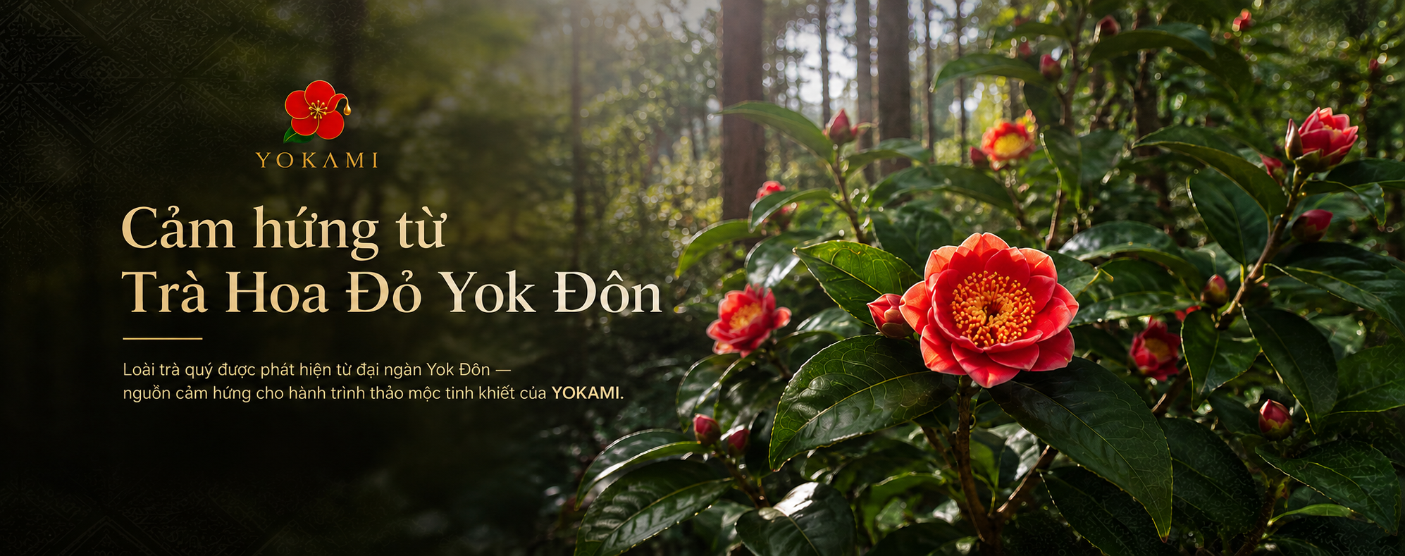 Tìm hiểu nguồn gốc