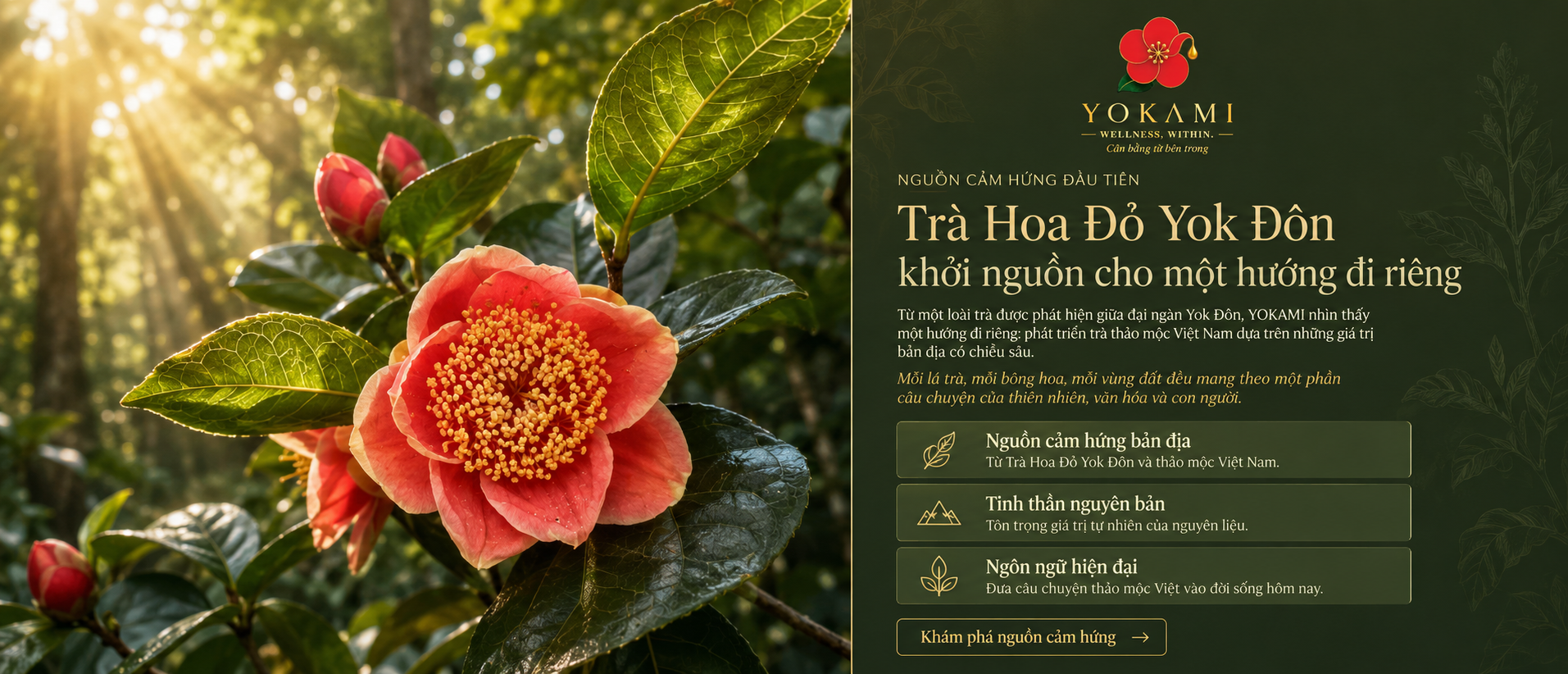 Thảo mộc bản địa Việt trong lối sống wellness