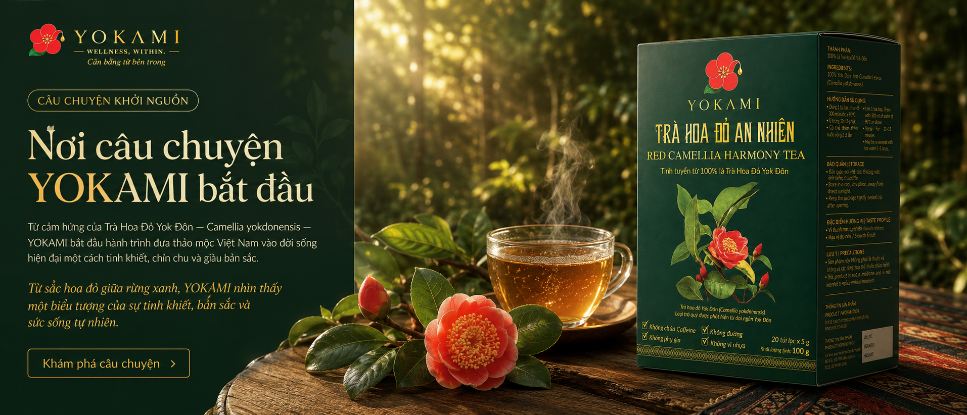 Trà Hoa Đỏ Yok Đôn — Camellia yokdonensis